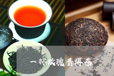 一杯玫瑰普洱茶/2023112610404