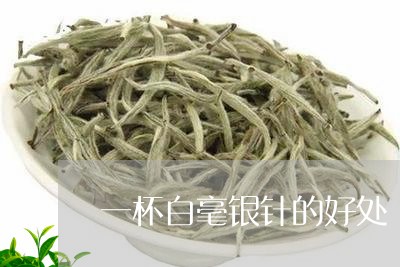 一杯白毫银针的好处/2023120651695