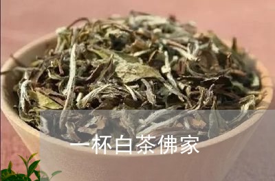 一杯白茶佛家/2023051207404