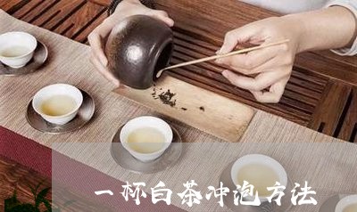 一杯白茶冲泡方法/2023061593258