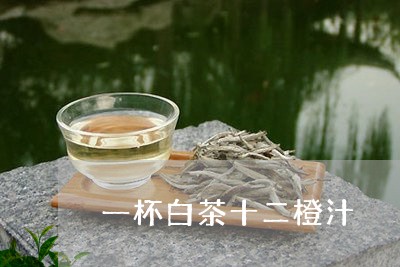 一杯白茶十二橙汁/2023061541783