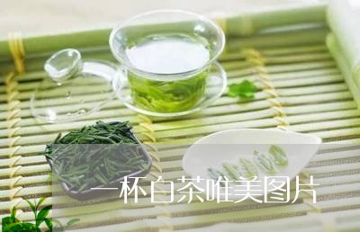 一杯白茶唯美图片/2023061570693