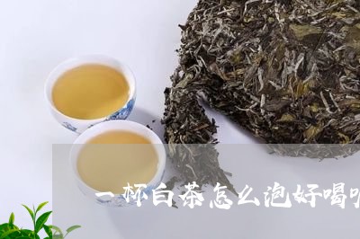 一杯白茶怎么泡好喝呢视频/2023111597482