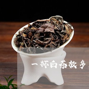 一杯白茶放多少茶叶/2023081220582