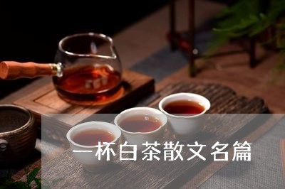 一杯白茶散文名篇/2023061594948