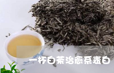 一杯白茶治愈系表白/2023071492725