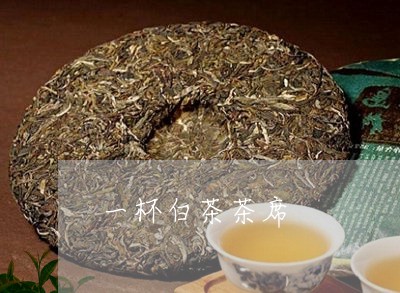 一杯白茶茶席/2023051236271