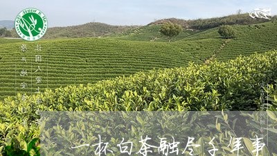 一杯白茶融尽千年事/2023081211682