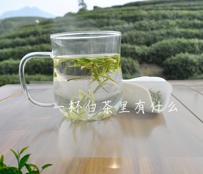 一杯白茶里有什么/2023061578480