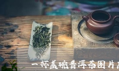 一杯盖碗普洱茶图片高清/2023102498282