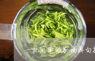 一杯简单的茶福鼎白茶/2023062831404