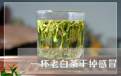 一杯老白茶干掉感冒/2023071490484