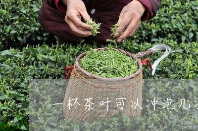 一杯茶叶可以冲泡几次/2023061128281