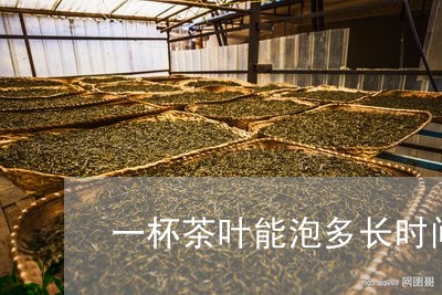 一杯茶叶能泡多长时间/2023092366182