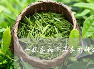 一杯茶和普洱茶有什么区别/2023051574815