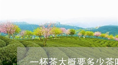 一杯茶大概要多少茶叶/2023092381695