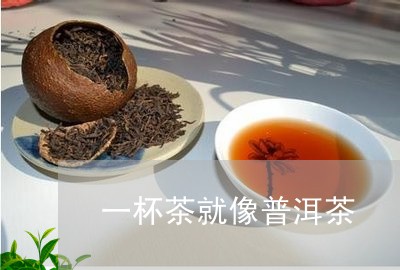 一杯茶就像普洱茶/2023102627261