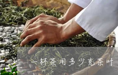 一杯茶用多少克茶叶/2023041825251