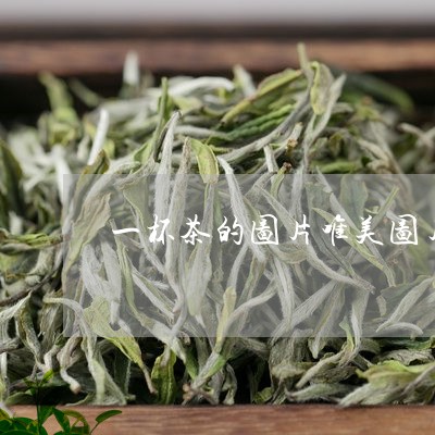 一杯茶的图片唯美图片/2023060960472