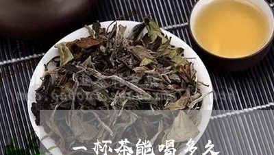 一杯茶能喝多久/2023042985915