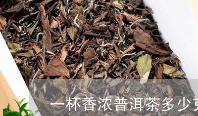 一杯香浓普洱茶多少克茶/2023120704826