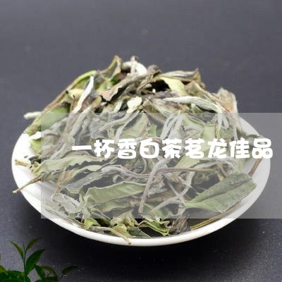 一杯香白茶茗龙佳品/2023071405027