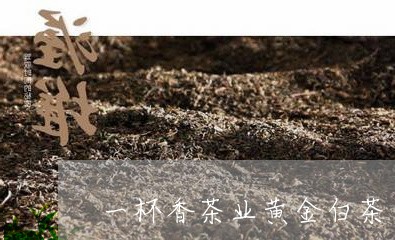 一杯香茶业黄金白茶/2023121634148