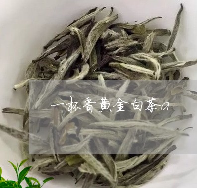 一杯香黄金白茶a/2023061542893