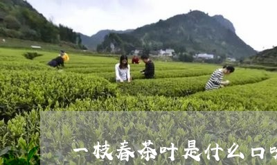 一枝春茶叶是什么口味/2023061147248