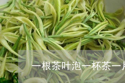 一根茶叶泡一杯茶一片一片的茶叶/2023060204157