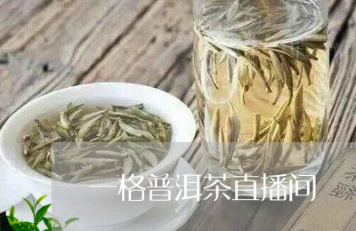 一格普洱茶直播间/2023101682709