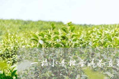 一桶小青柑普洱茶直播/2023120610714