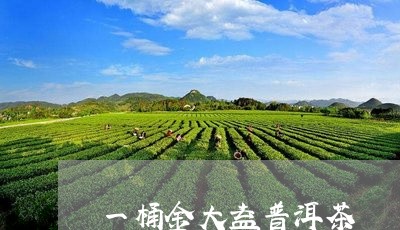 一桶金大益普洱茶/2023112697140