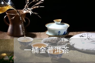 一桶金普洱茶/2023090684036