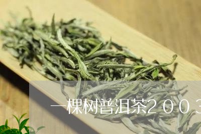 一棵树普洱茶2003/2023093091927