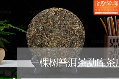 一棵树普洱茶勐库茶厂/2023092638473