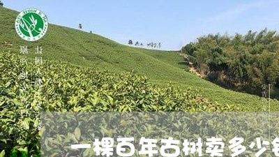 一棵百年古树卖多少钱/2023071516268