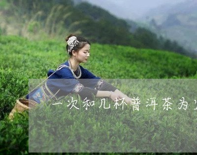 一次和几杯普洱茶为宜/2023092536050