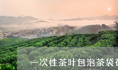 一次性茶叶包泡茶袋在哪里卖了/2023053181484