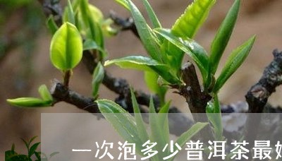 一次泡多少普洱茶最好/2023120727269