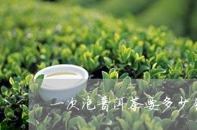 一次泡普洱茶要多少钱/2023092642947