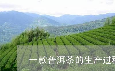 一款普洱茶的生产过程/2023120739540