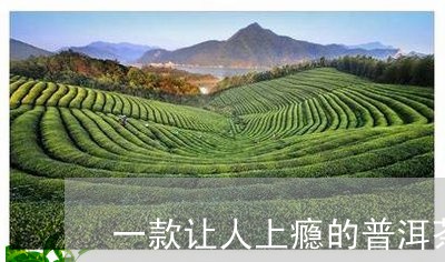 一款让人上瘾的普洱茶/2023072184735