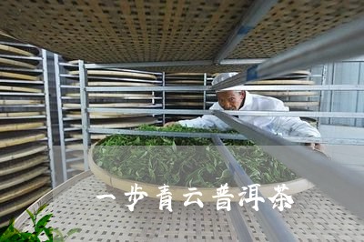 一步青云普洱茶/2023112683259