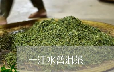 一江水普洱茶/2023042508354