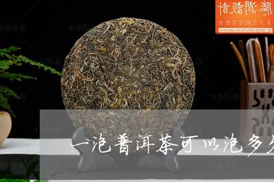 一泡普洱茶可以泡多久/2023092653048