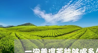 一泡普洱茶能够喝多久/2023072252626