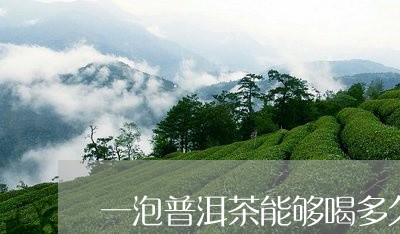 一泡普洱茶能够喝多久/2023092762726