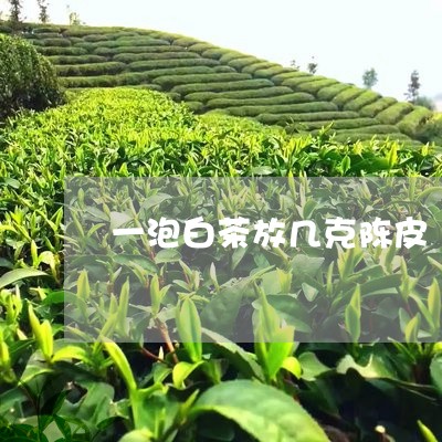 一泡白茶放几克陈皮/2023071485250