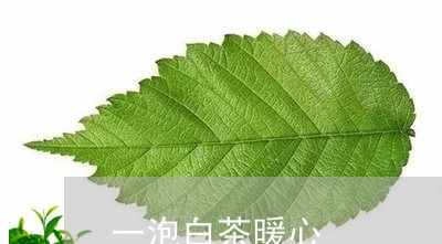 一泡白茶暖心/2023051255260